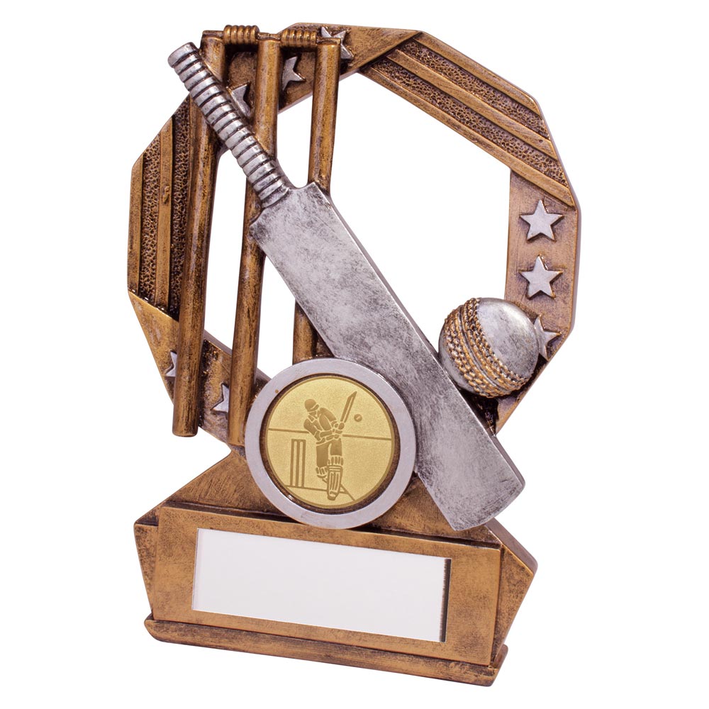 Enigma Cricket Award