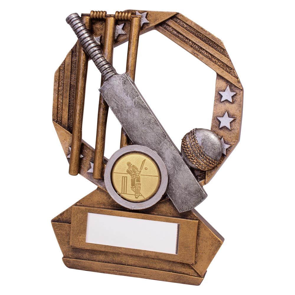 Enigma Cricket Award