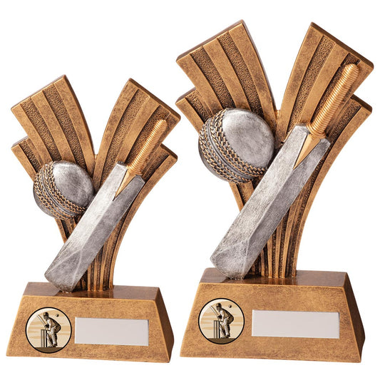 Xplode Cricket Award