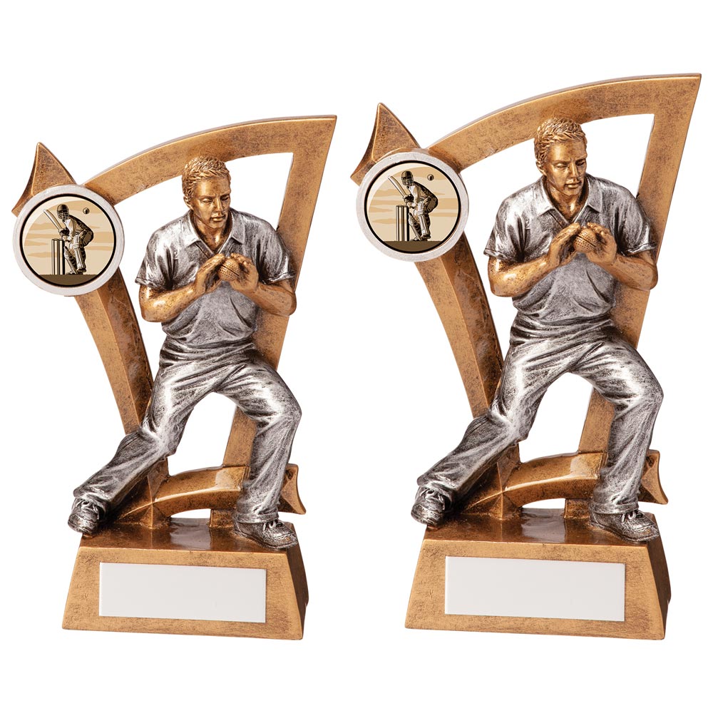 Predator Cricket Fielder Award