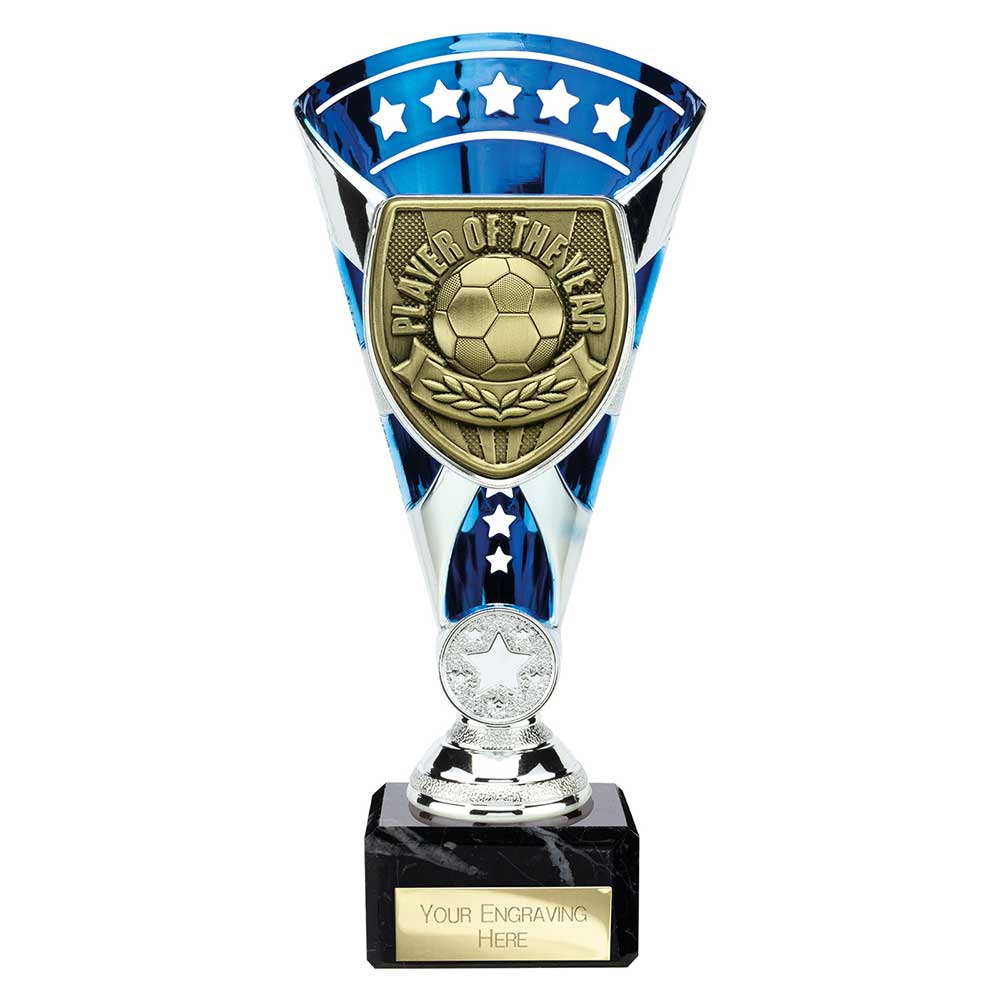 Cobra Star Cup Player of Year