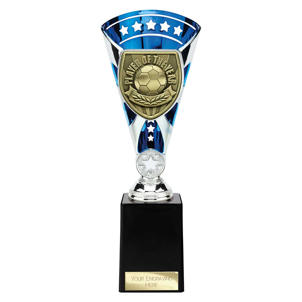 Cobra Star Cup Player of Year