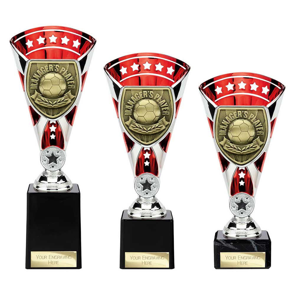 Cobra Star Cup Managers Player