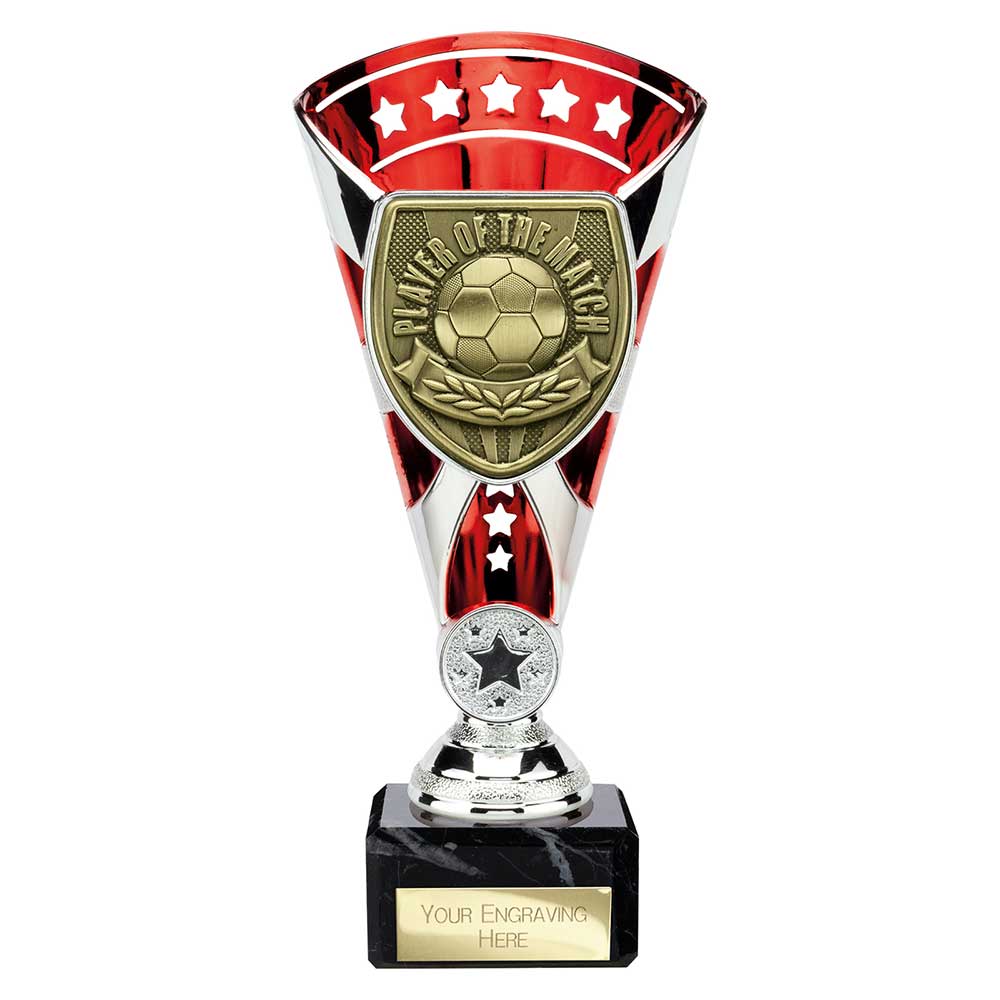 Cobra Star Cup Player of Match