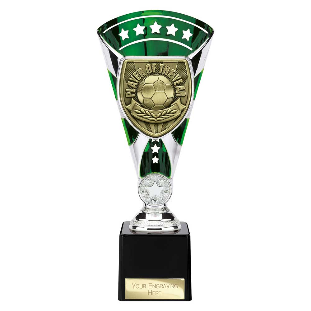 Cobra Star Cup Player of Year