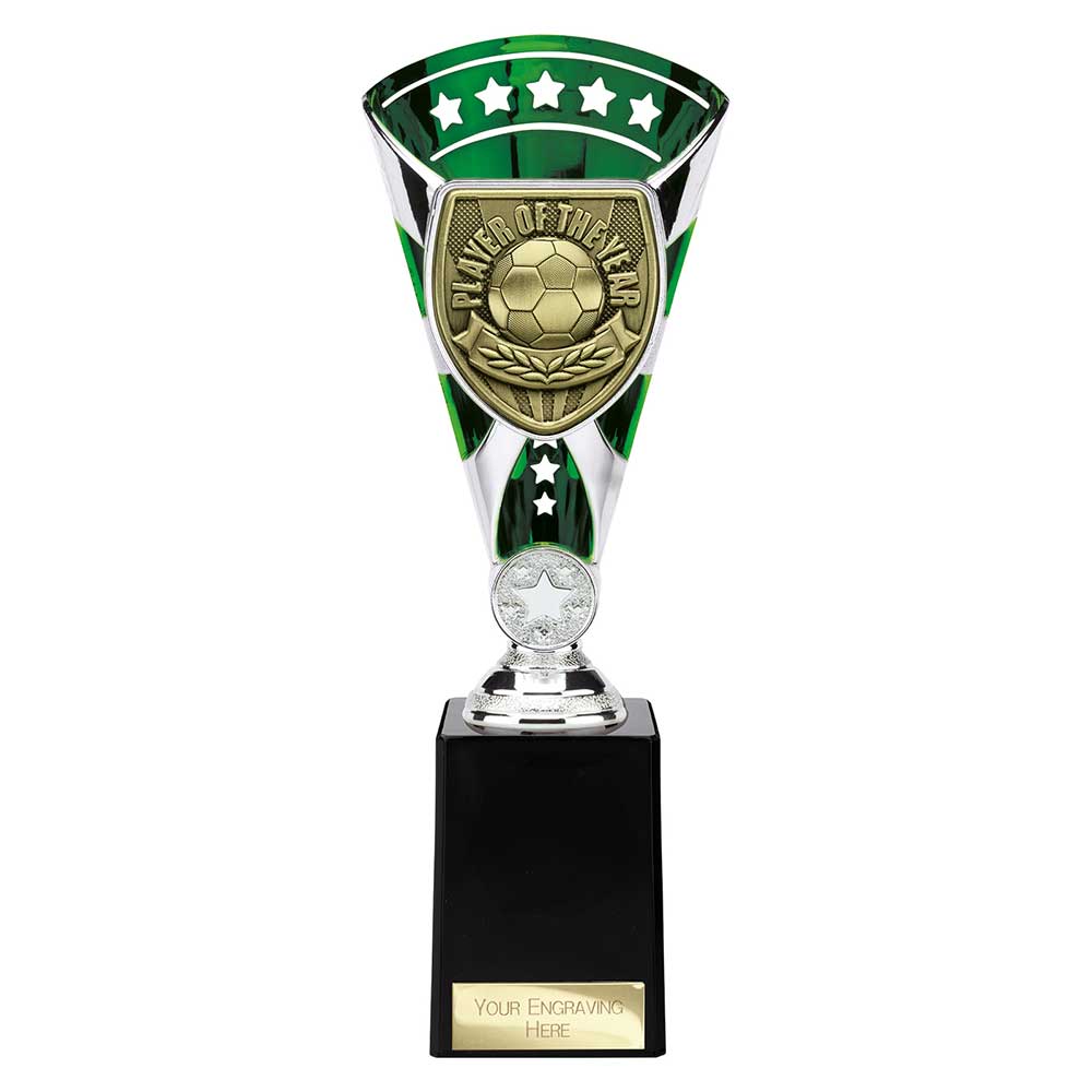 Cobra Star Cup Player of Year
